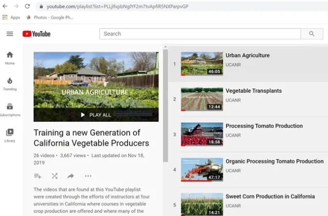 UC ANR You Tube Channel vegetable video playlist for the 26-episode series