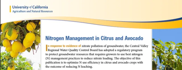 N Magmt lemon and avo pub