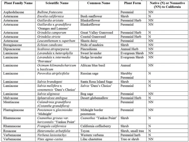 Main Native Bee Plants Installed in Avocado Orchards 2014-2019