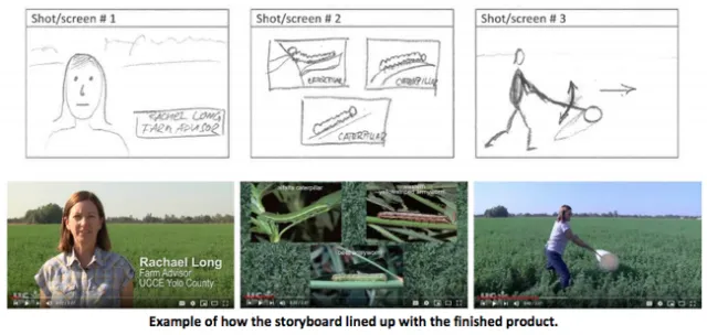 Good videos start with good planning – and good planning involves a good storyboard.