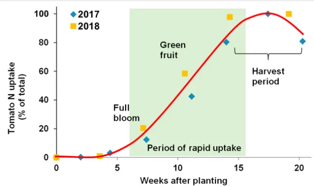Fresh market tomato N curve