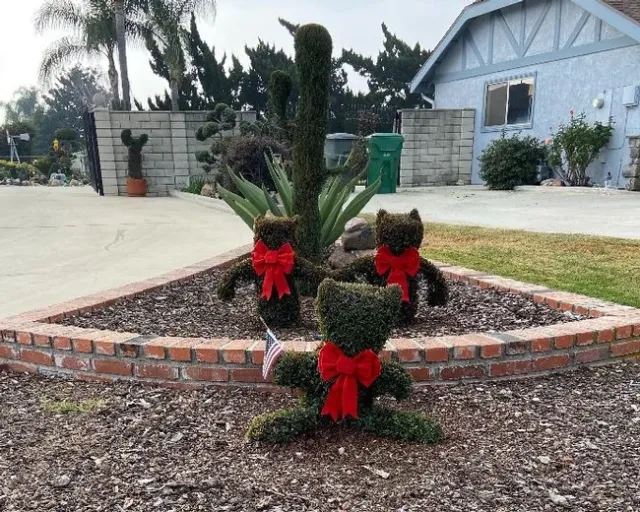 Three Bears Topiary Created by Esther