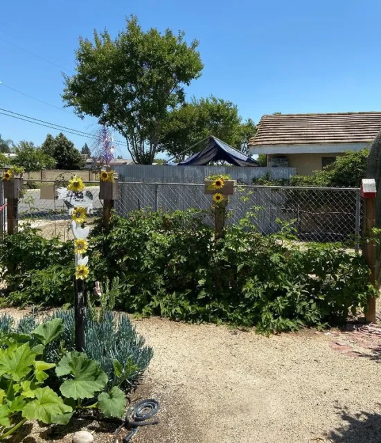 Esther's Vegetable Garden