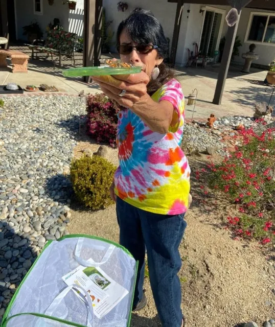Esther Releasing Butterflies in Her Garden