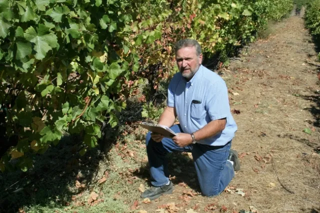 “It was my 20-year association with UCCE weed specialist Clyde Elmore that set me on the path to becoming a UCCE weed science advisor,” Roncoroni said.