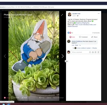 Lauren Hull posted a picture of Happy McGivins in support of the Master Gardener Program.