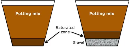 Gravel-in-pot-MG-Karen-Schaffer
