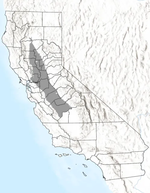 California map of potential elderberry longhorn beetle range