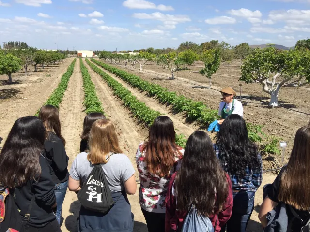Students in the GROW Program learning from a South Coast Steward how to harvest potatoes