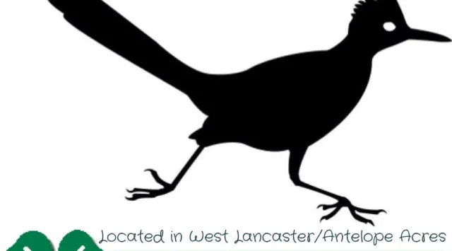 1271137_381837825251975_956590568_o