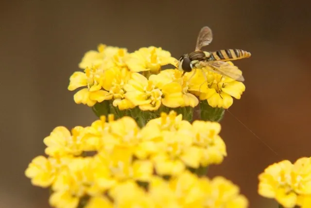 photos by Alex Russell