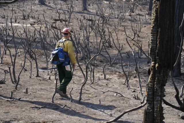 In some areas, the high-intensity Rim Fire burned all the vegetation. (Photo: USDA)