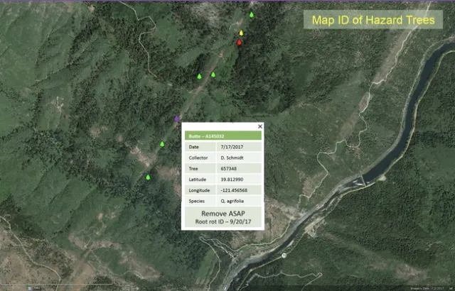 The app generates a tree hazard map.