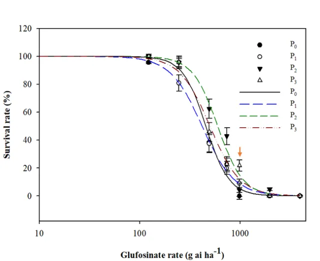 Figure 2. Dose-response of the Italian ryegrass susceptible parent population (P0) and three successive generations (P1, P2, P3) of offspring following selection with low glufosinate rates in the greenhouse. Lines are the predicted values for percent survival. Red arrow indicates the labelled field rate (984 g ai h-1). Adapted from Matzrafi et al., 2020 (https://www.biorxiv.org/content/10.1101/2020.07.04.182733v1).