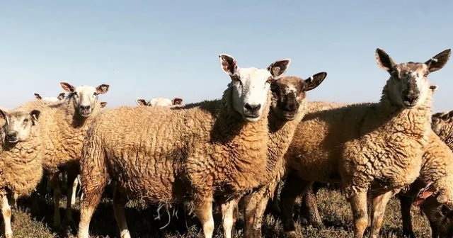 8AFD7704-B719-48CB-AC0E-E0C90882D2AE