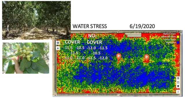 Screen Shot 2020-07-21 at 10.36.19 AM