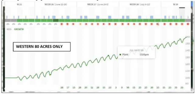 Screen Shot 2020-07-21 at 11.08.48 AM