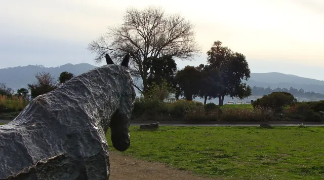 Blackie's Pasture cropped
