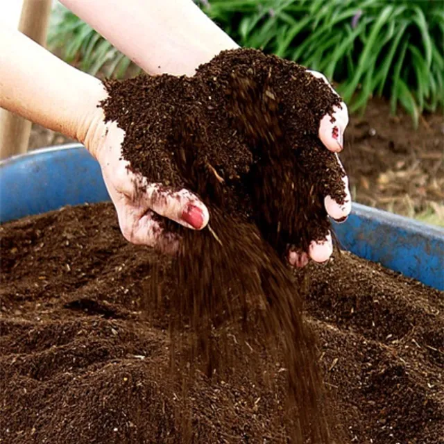 Adding compost to the garden is one of the best ways to improve soil and support plant health. Photo: Courtesy UC Regents