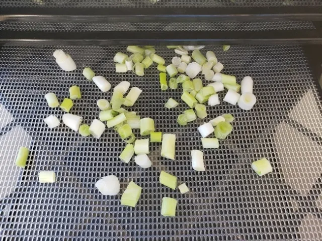 white portion drying tray