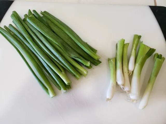 white green seperated