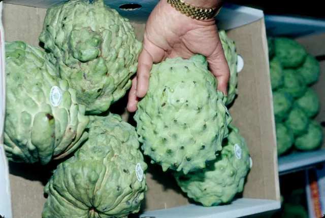 Cherimoya is among the specialty crops now eligible for the USDA Coronavirus Food Assistance Program.