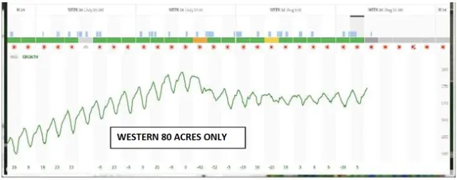 Screen Shot 2020-08-14 at 2.44.11 PM