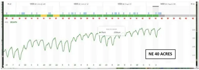 Screen Shot 2020-08-14 at 2.44.36 PM