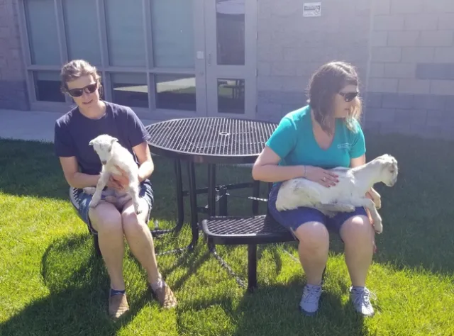 JoLynn Miller, right, invited a 4-H volunteer to bring goats in 2019.