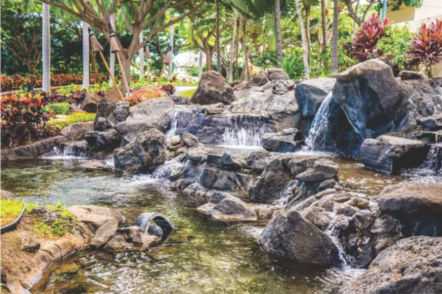 serene creative commons