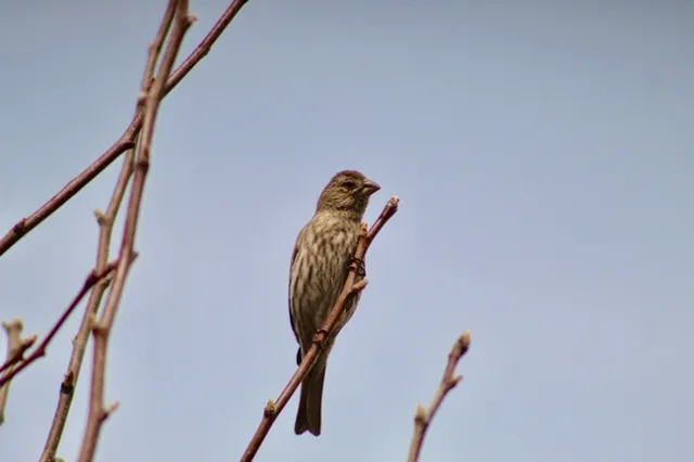 Photo by Max Light-Pacheco