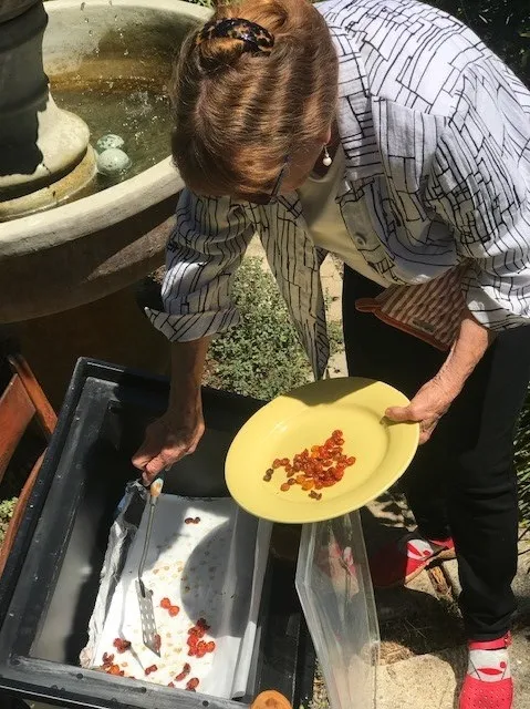 Removing Dried Tomatoes from Oven(1)