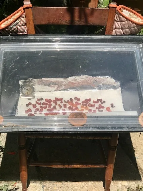 Tomatoes Drying in Oven