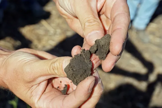 CDFA will provide funding for six UC Cooperative Extension demonstration projects that will build healthy soil on California farms and ranches.