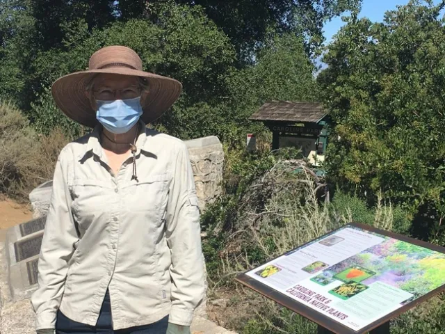 Betty volunteering recently at Caroline Park in Redlands.