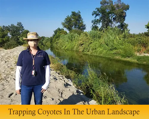 Trapping-Coyotes-FS-banner