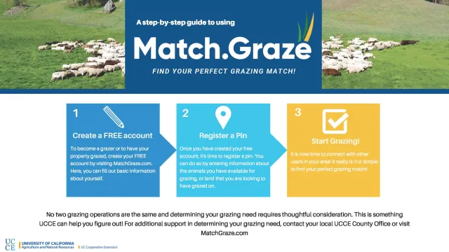 Match.Graze Step-by-Step infographic