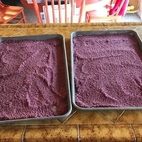 Cabernet Salt Air Drying