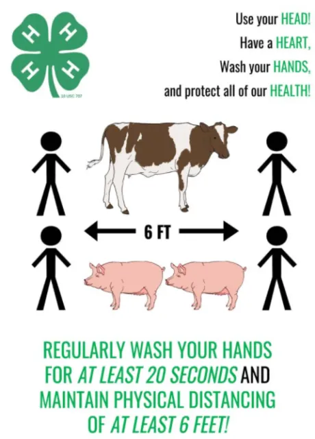 Image of a youth-developed health education material developed as part of the project.