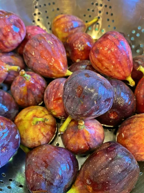 Whole Figs