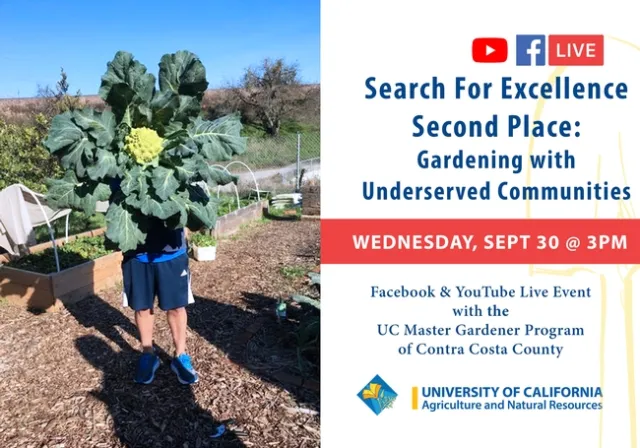 SFE Contra Costa Live ART