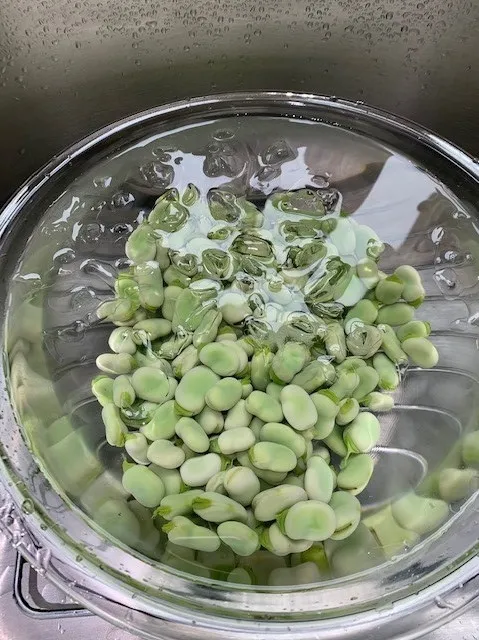 Cooling Beans Ice Water(2)