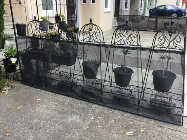 dim sum garden tsaravia 2020