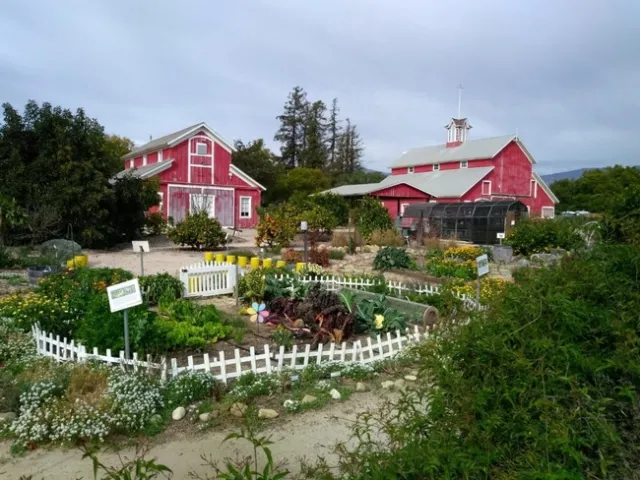Behind the barns, UC Master Gardener volunteers maintain a demonstration garden where they hold workshops for home gardeners and students.