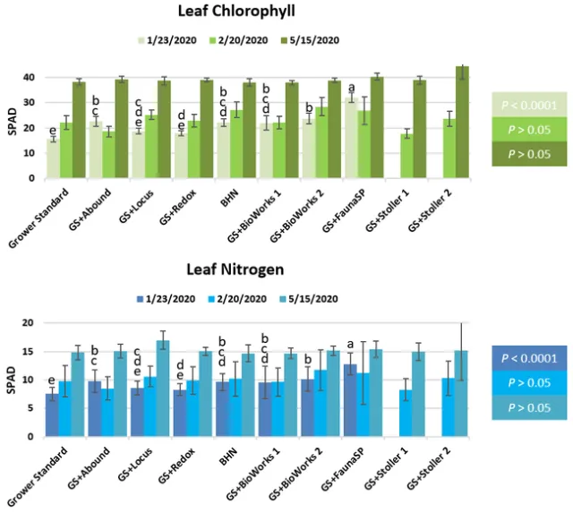 Chlorophyll and nitrogen