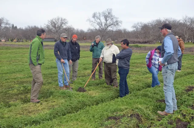 A group of organic farmers are working with UC researchers to minimize tillage and optimize soil characteristics on their farms.