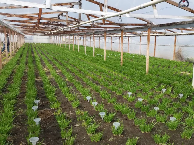 valley water 1st page presentation