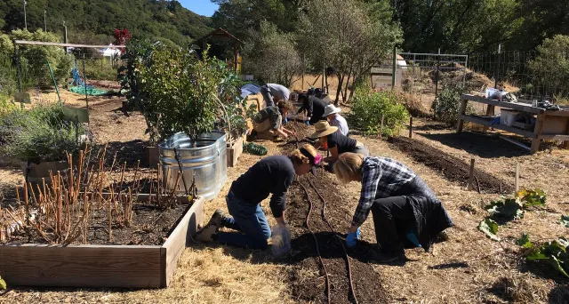 edg MMGs working, Perrin copy