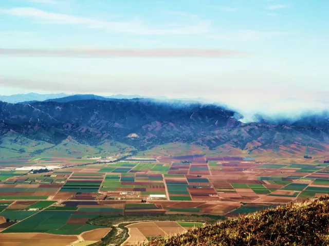 IPM presentation first page