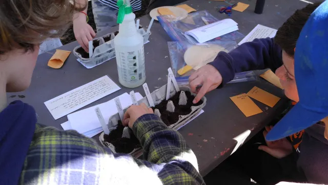 Teaching about seeds and germination by planting herbs and flowers photo by Anne-Marie Walker